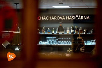KofolaChacharovaasirna26
