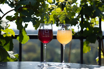 VINOBRSNITROJa26