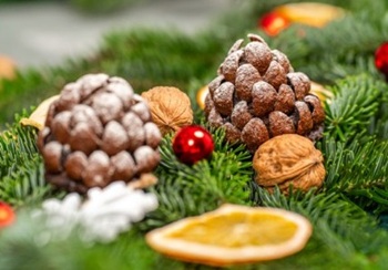 COKOLADOVESISKYBISON25