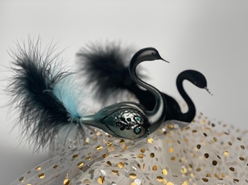 Koulierlabutkoulier25