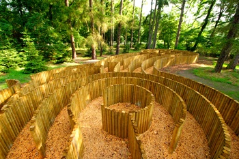 Palisadovedistegoro26