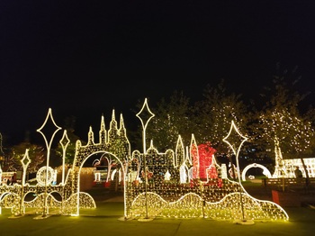 SvvtavaSrdoplutýchDEC251