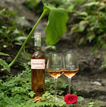 Valentynvbotanivćka25