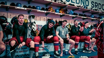 ZlatcestavkabineBonto