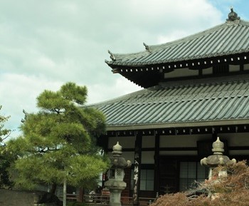 botanic2025prednzahr