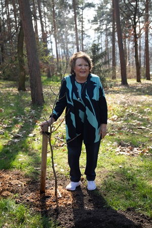 bohjdalovasazistrom25