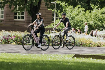 boscestskelektrokolo25