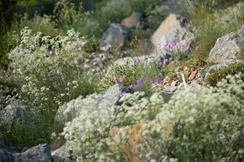 botanickazahr2025dar