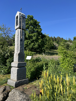 botanickazahradamiklodar