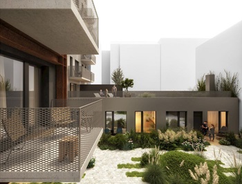 everydamidoharfa2025