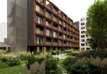 everydamidoharfauvod25