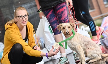 lavnorganiorkaKarhajk