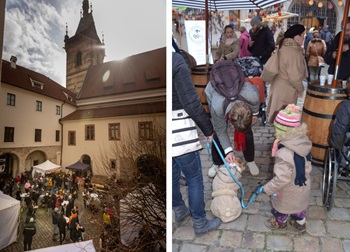 ranicebrezenchut2025