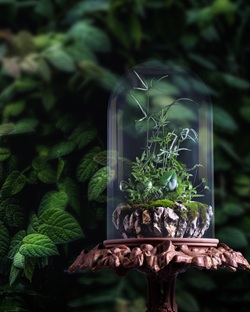 ulscreenASCINACE25bot