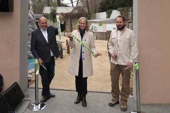 zahajeneistrasilkybell