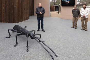 zoostrasilkypavil2025